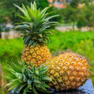 Fruits & Vegetables